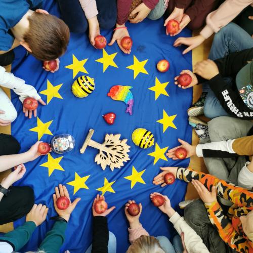 EU Flagge