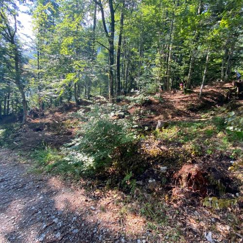 Wandertag