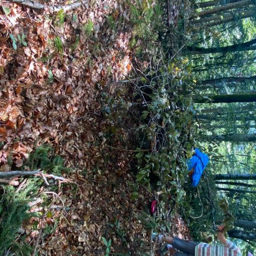 Wandertag