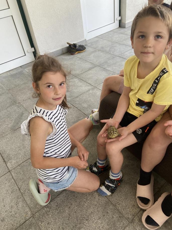 Kind mit Schildkröte