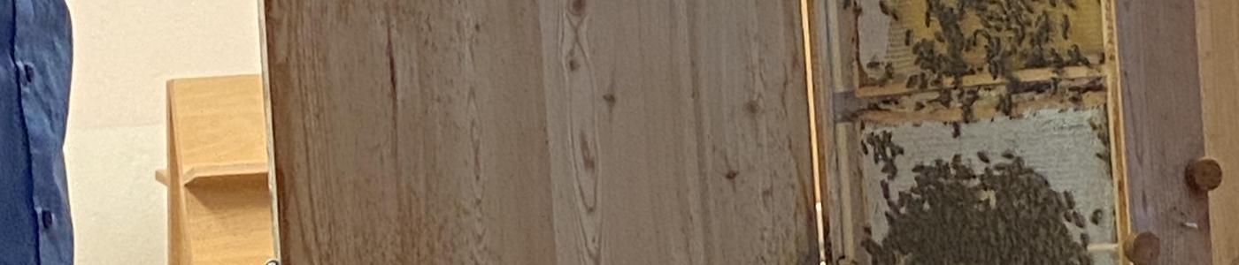 Bienen