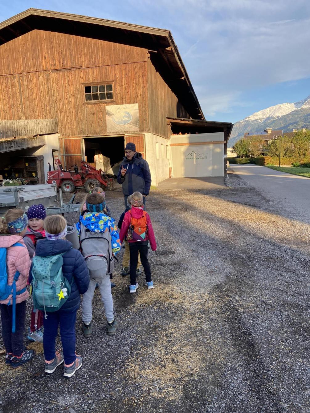 Kinder bei den Gänsen