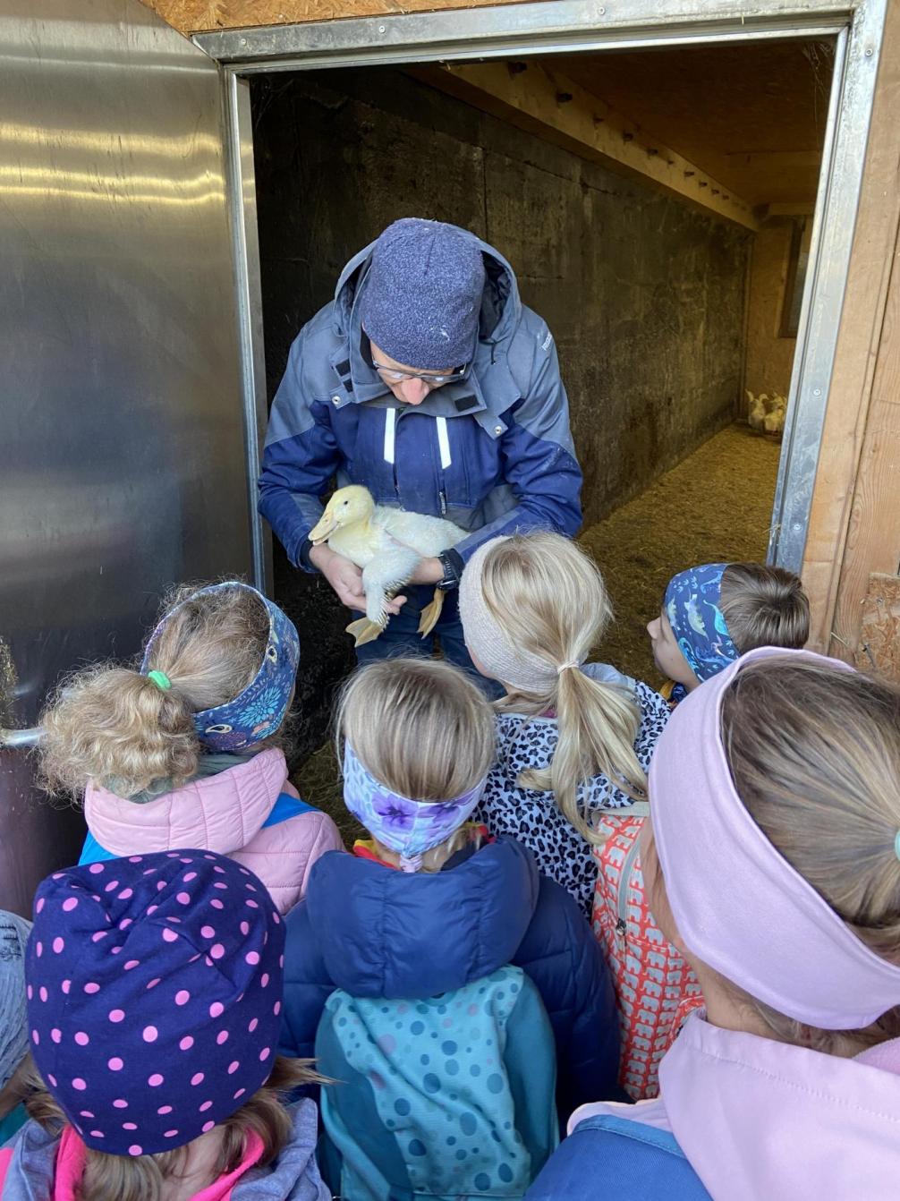 Kinder bei den Gänsen