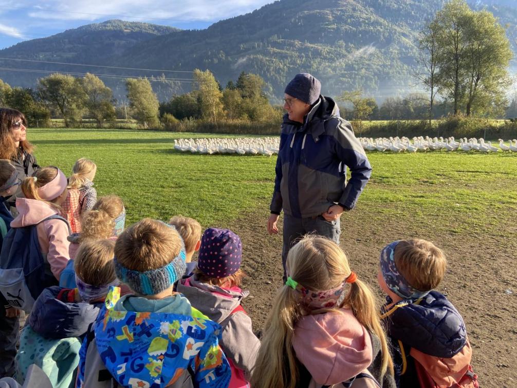 Kinder bei den Gänsen