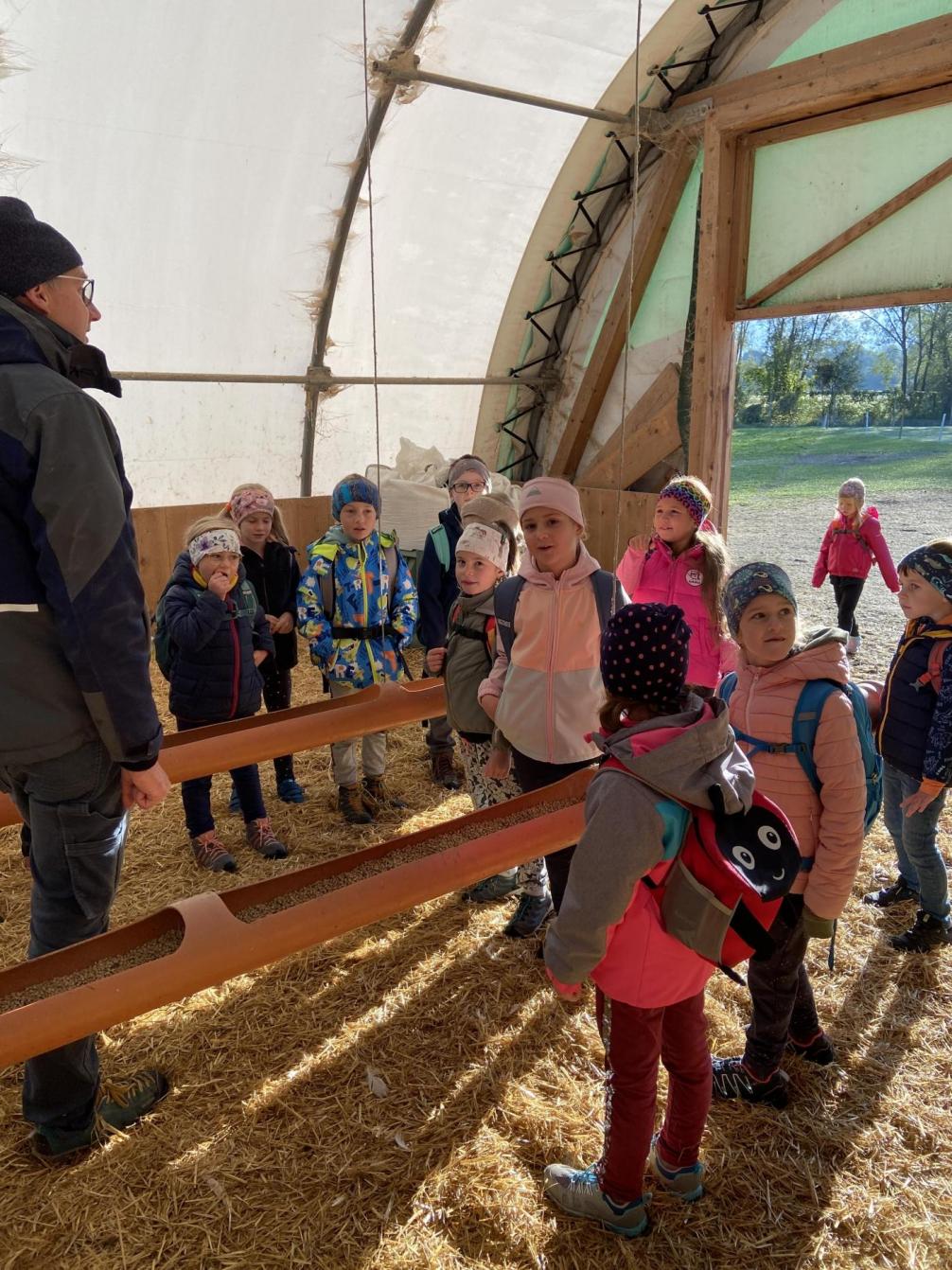 Kinder bei den Gänsen