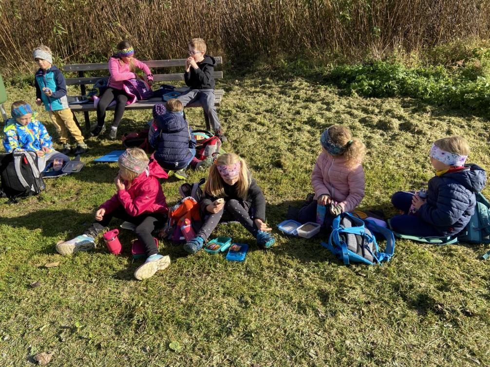 Kinder bei den Gänsen