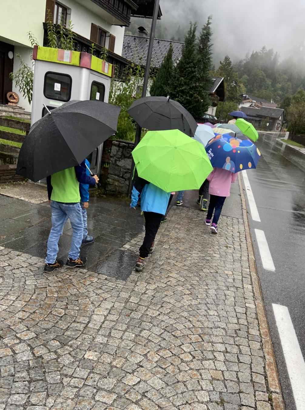 Regenschirm 
