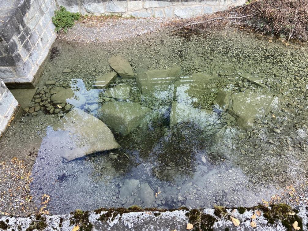 Wasser