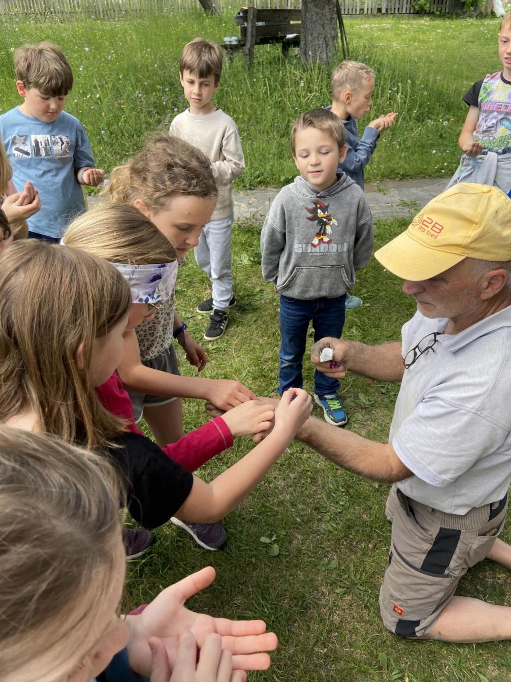 Schule im Garten